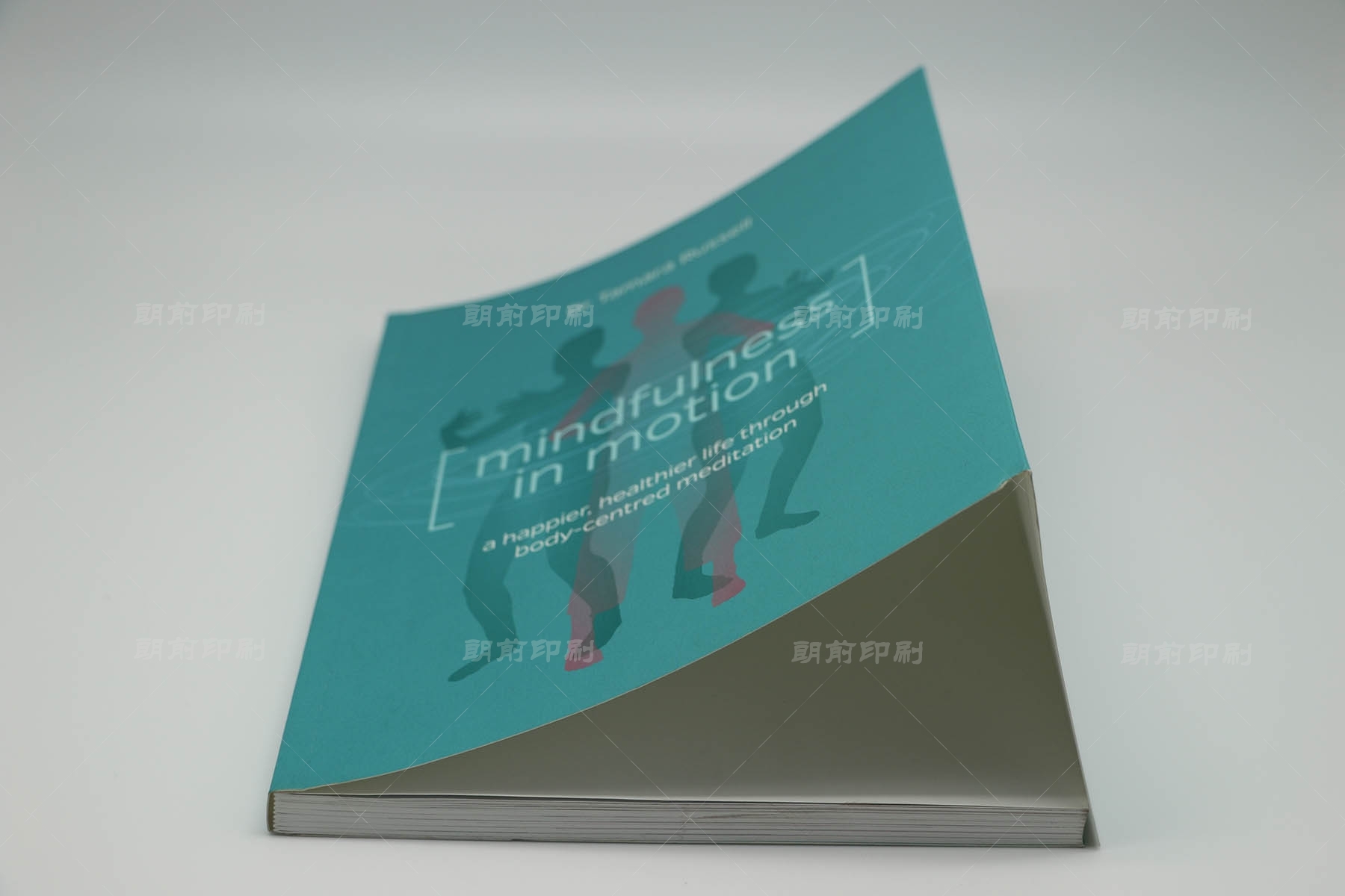 广州书刊画册宣传册印刷 广州制作消防画册的公司