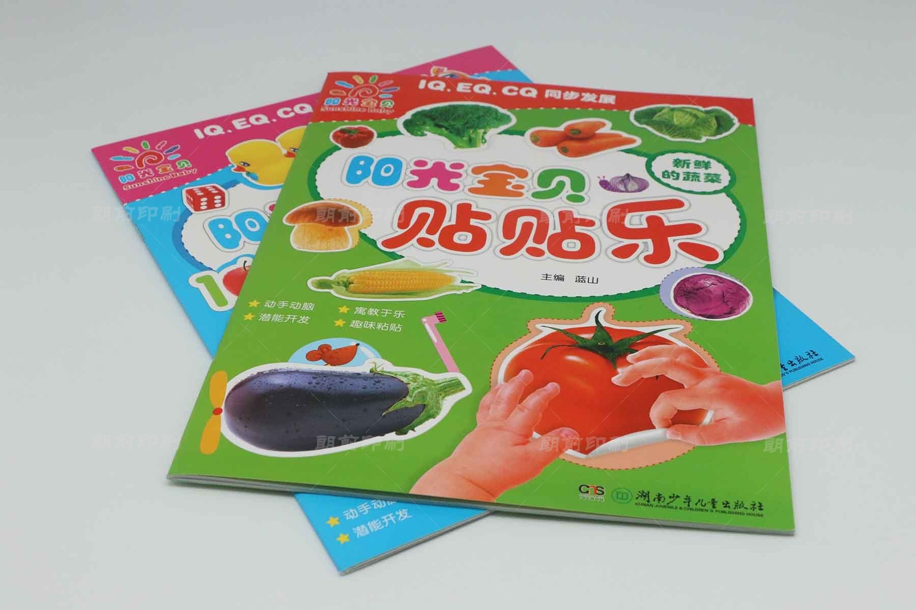 广州连环画册怎么印刷的 广州画册彩页印刷设计公司