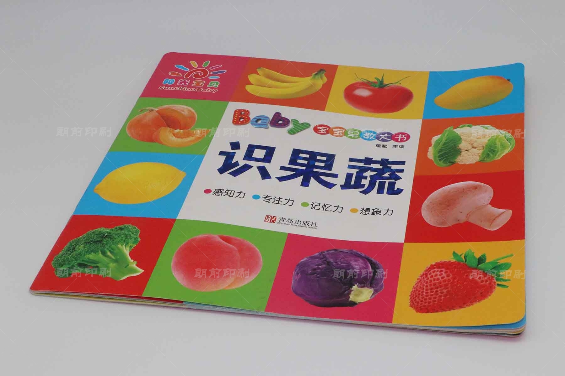 广州大型企业画册设计印刷