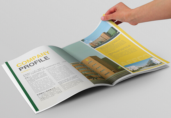 广州企业画册印刷 广州公司企业画册设计印刷