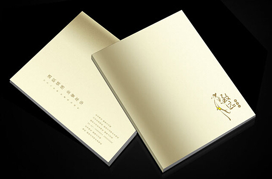 广州画册设计印刷厂 广州公司形象画册制作