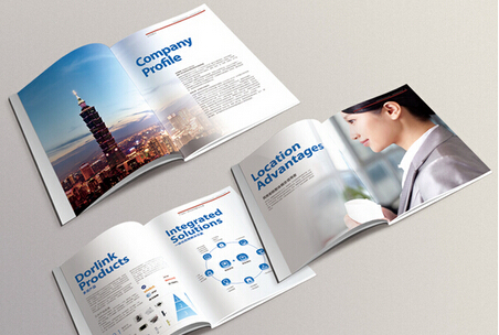 广州企业企业画册设计印刷价格 广州专业印刷公司宣传画册