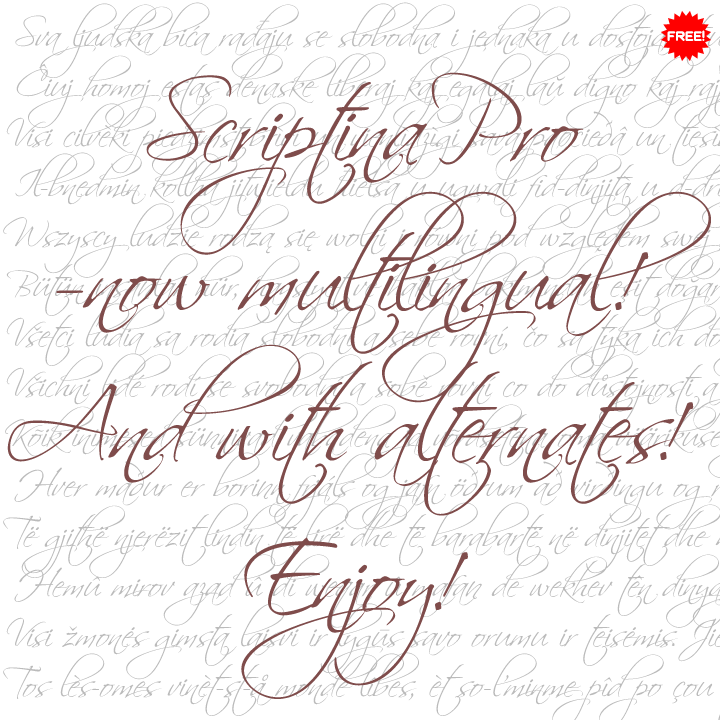 Scriptina Pro字体下载